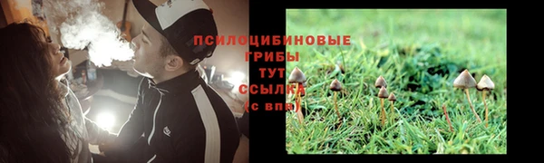 сатива Абдулино